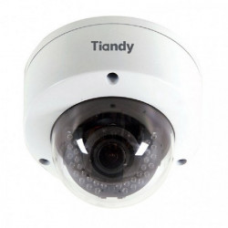 TIANDY IP dome kamera 2MP, 2,8-12mm, DWDR, IR 30m, IP66, IK10 TC-NC24V