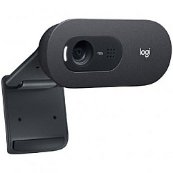 LOGITECH C505E Long Range HD web kamera