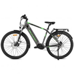 MS ENERGY Električni bicikl e-Bike t100,Siva-Zelena, 1237711