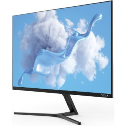 TESLA 24MC645BF IPS FHD 100Hz USB-C AMD FreeSync