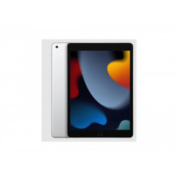 APPLE 10.2-inch iPad 9 Wi-Fi 256GB - Silver ( mk2p3hc/a )