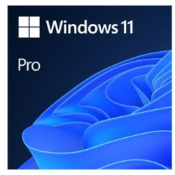 MICROSOFT Windows 11 Pro 64bit GGK Eng Intl (4YR-00316)