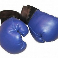 CAPRIOLO Boks rukavice-plave pv 10-oz ( S100444-10 )