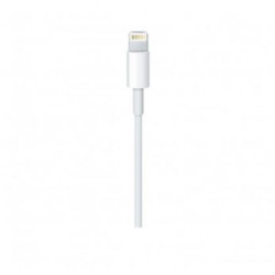 APPLE Lightning to USB Cable (0.5 m) ( me291zm/a )