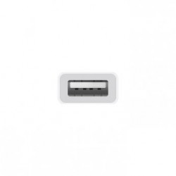 APPLE USB-C to USB Adapter (mj1m2zm/a)