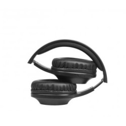 PANASONIC Slušalice RB-HX220BDEK crne/ BT
