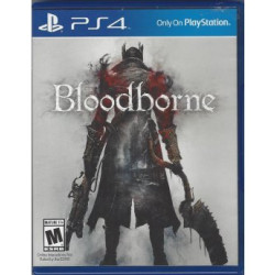 SONY PS4 Bloodborne HITS