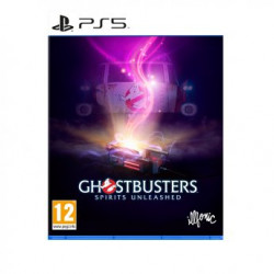 Nighthawk Interactive PS5 Ghostbusters: Spirits Unleashed
