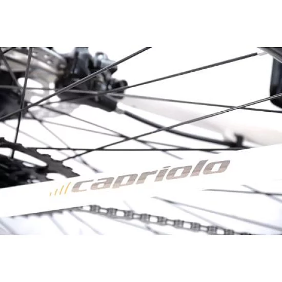 CAPRIOLO LC 29-4 29''/9AL krem-narandžasta 19'' 926520-19