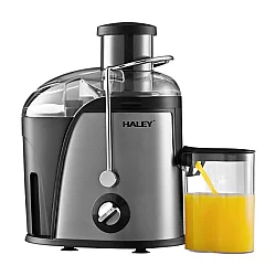 HALEY HY2902 Sokovnik 1000W