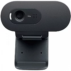 LOGITECH C505E Long Range HD web kamera