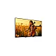 SONY Bravia 5 K55XR55B Mini LED 4K Ultra HD cena 