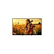 SONY Bravia 5 K55XR55B Mini LED 4K Ultra HD cena 