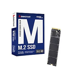 BIOSTAR M760 512GB 2800MBs/1700MBs SSD M.2 NVME