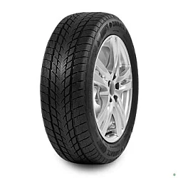 DAVANTI 195/65R15 91H Wintoura zim