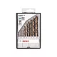 BOSCH 10-delni Robust Line set burgija za metal 2607019925 cena 