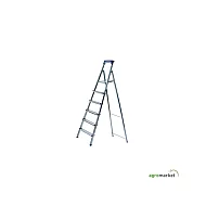 AGROMARKET Merdevine metalne 5 + 1 gazišta