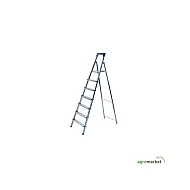 AGROMARKET Merdevine metalne 6 + 1 gazišta