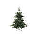 Everlands Grandis Fir 180cm novogodišnja jelka (68.1451)