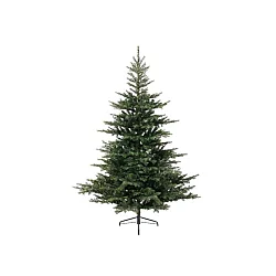 Everlands Grandis Fir 210cm novogodišnja jelka (68.1452)