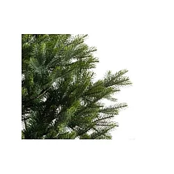 Everlands Nobilis Fir 150cm novogodišnja jelka (68.9200)