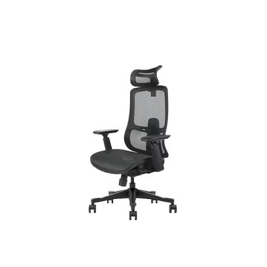UGD Ergonomska kancelarijska stolica Task Master Mesh