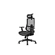 UGD Ergonomska kancelarijska stolica Task Master Mesh