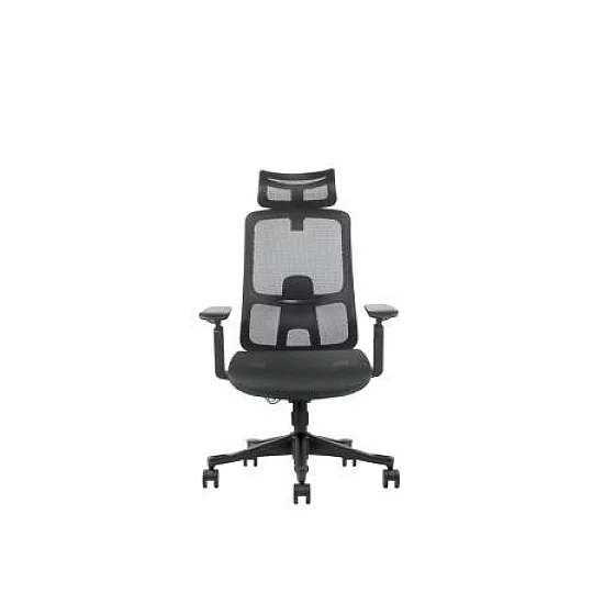 UGD Ergonomska kancelarijska stolica Task Master Mesh