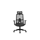 UGD Ergonomska kancelarijska stolica Task Master Mesh