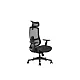 UGD Ergonomska kancelarijska stolica Task Master Mesh