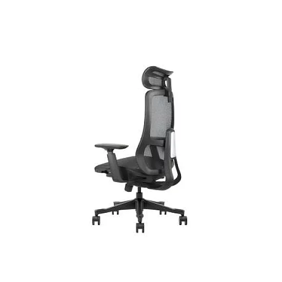 UGD Ergonomska kancelarijska stolica Task Master Mesh