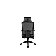 UGD Ergonomska kancelarijska stolica Zenith