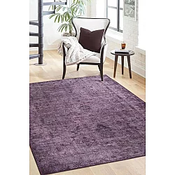 Conceptum Hypnose Tepih (210 x 310) RBA 28