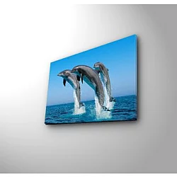 WALLXPERT Dekorativna slika 3040C 28