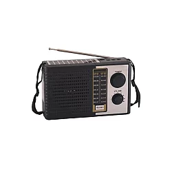 ELEMENTA Solarni prenosni Bluetooth radio prijemnik 5510S