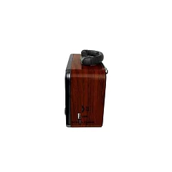 ELEMENTA Prenosni retro Bluetooth radio 8897BT/C