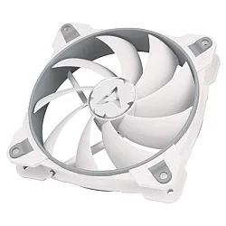 Arctic BioniX F120 120mm grey/white ACFAN00164A