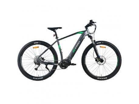 MS ENERGY Električni bicikl e-Bike m100,1234386 cena