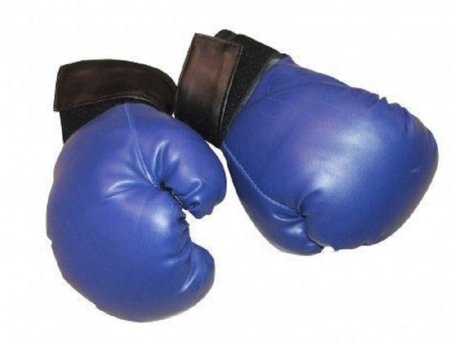 CAPRIOLO Boks rukavice-plave pv 10-oz ( S100444-10 ) cena